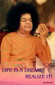 Life Is A Dream, Realize It!