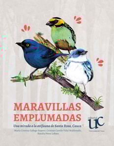 Maravillas Emplumadas
