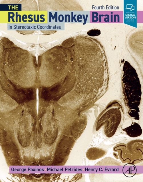 Rhesus Monkey Brain in Stereotaxic Coordinates