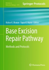 Base Excision Repair Pathway