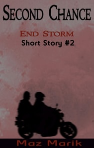 Second Chance - End Storm Short Story #2