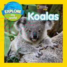 Explore My World: Koalas