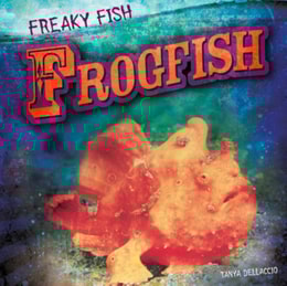 Frogfish