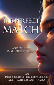 Perfect Match and Other Small Bites Stories