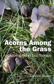 Acorns Among the Grass