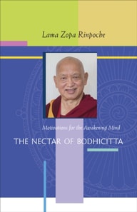 Nectar of Bodhicitta: Motivations for the Awakening Mind