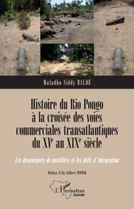 Histoire du Rio Pongo à la croisée des voies commerciales transatlantiques du XVe au XIXe siècle