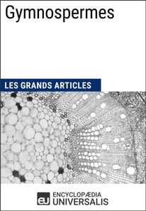 Gymnospermes