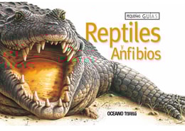 Reptiles y anfibios