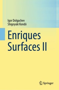 Enriques Surfaces II