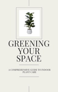 Greening Your Space - A Comprehensive Guide to Indoor Plant Care