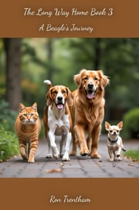 Long Way Home Book 3