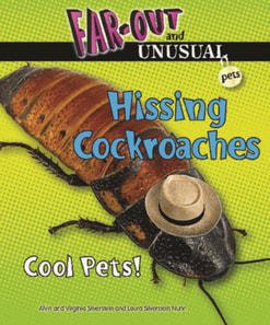 Hissing Cockroaches