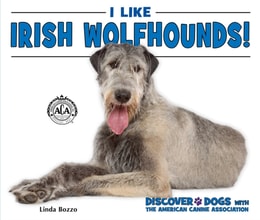 I Like Irish Wolfhounds!