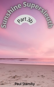 Sunshine Supersleuth Part 3b