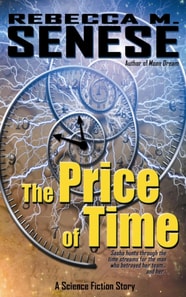 Price of Time