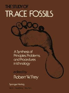 Study of Trace Fossils