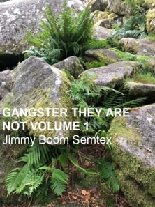 Gangster They Are Not Volume 1  