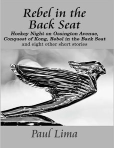 Rebel in the Back Seat