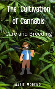 Cultivation of Cannabis Care and Breeding