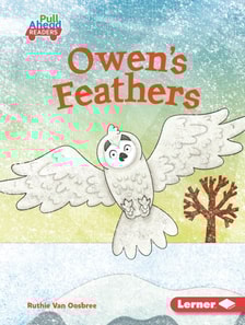 Owen's Feathers