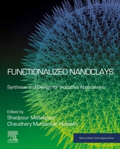 Functionalized Nanoclays