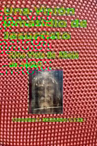 Una Vision Omatidia de Jesucristo