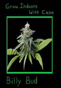 Grow Indoor With Ease