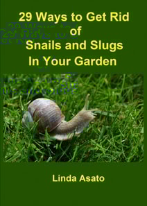29 Ways to Get Rid of Snails and Slugs in Your Garden