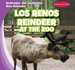 Los renos / Reindeer at the Zoo