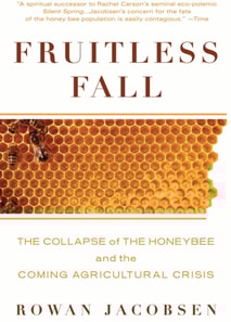 Fruitless Fall