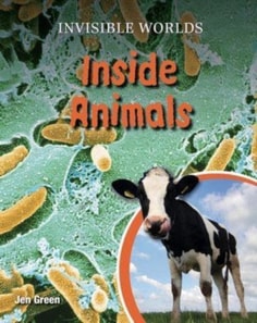 Inside Animals