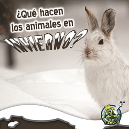 Que hacen los animales en invierno?