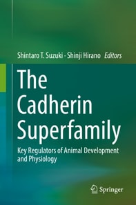 Cadherin Superfamily