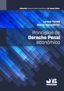 Principios de Derecho Penal Economico