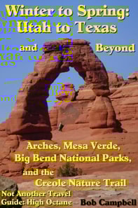 Winter to Spring: Utah to Texas and beyond - Arches, Mesa Verde, Big Bend National Parks, and the Creole Nature Trail