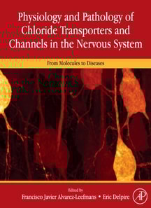 Physiology and Pathology of Chloride Transporters and Channels in the Nervous System
