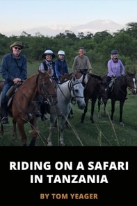 Riding on a Safari in Tanzania