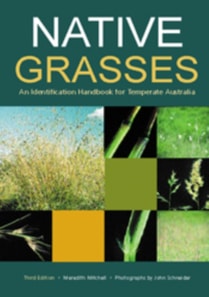 Native Grasses