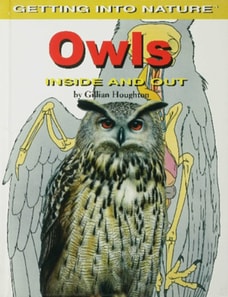 Owls