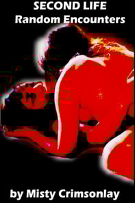 Second Life: Random Encounters