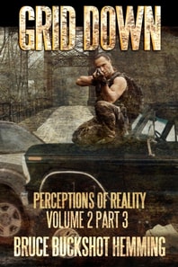 Grid Down Perceptions of Reality