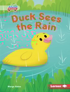 Duck Sees the Rain