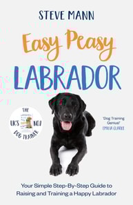 Easy Peasy Labrador