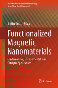 Functionalized Magnetic Nanomaterials