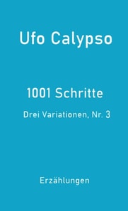 1001 Schritte - Drei Variationen, Nr. 3