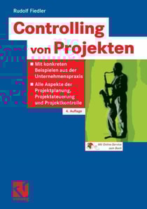 Controlling von Projekten