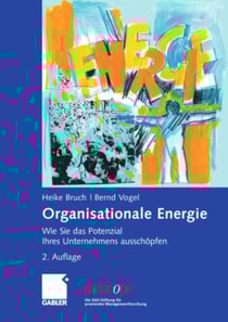 Organisationale Energie