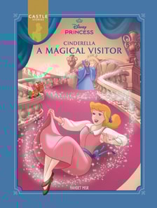 Magical Visitor - Cinderella