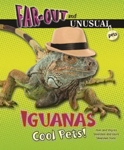 Iguanas